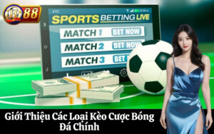 Giới Thiệu Các Loại Kèo Cược Bóng Đá Chính
