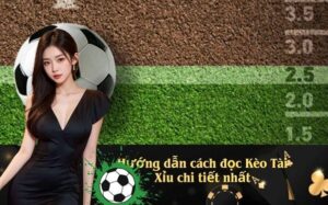 Hướng dẫn cách đọc Kèo Tài Xỉu chi tiết nhất