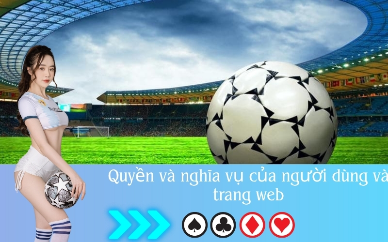 Quyền và nghĩa vụ của người dùng và trang web