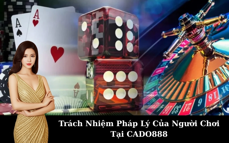 Trách Nhiệm Pháp Lý Của Người Chơi Tại CADO888